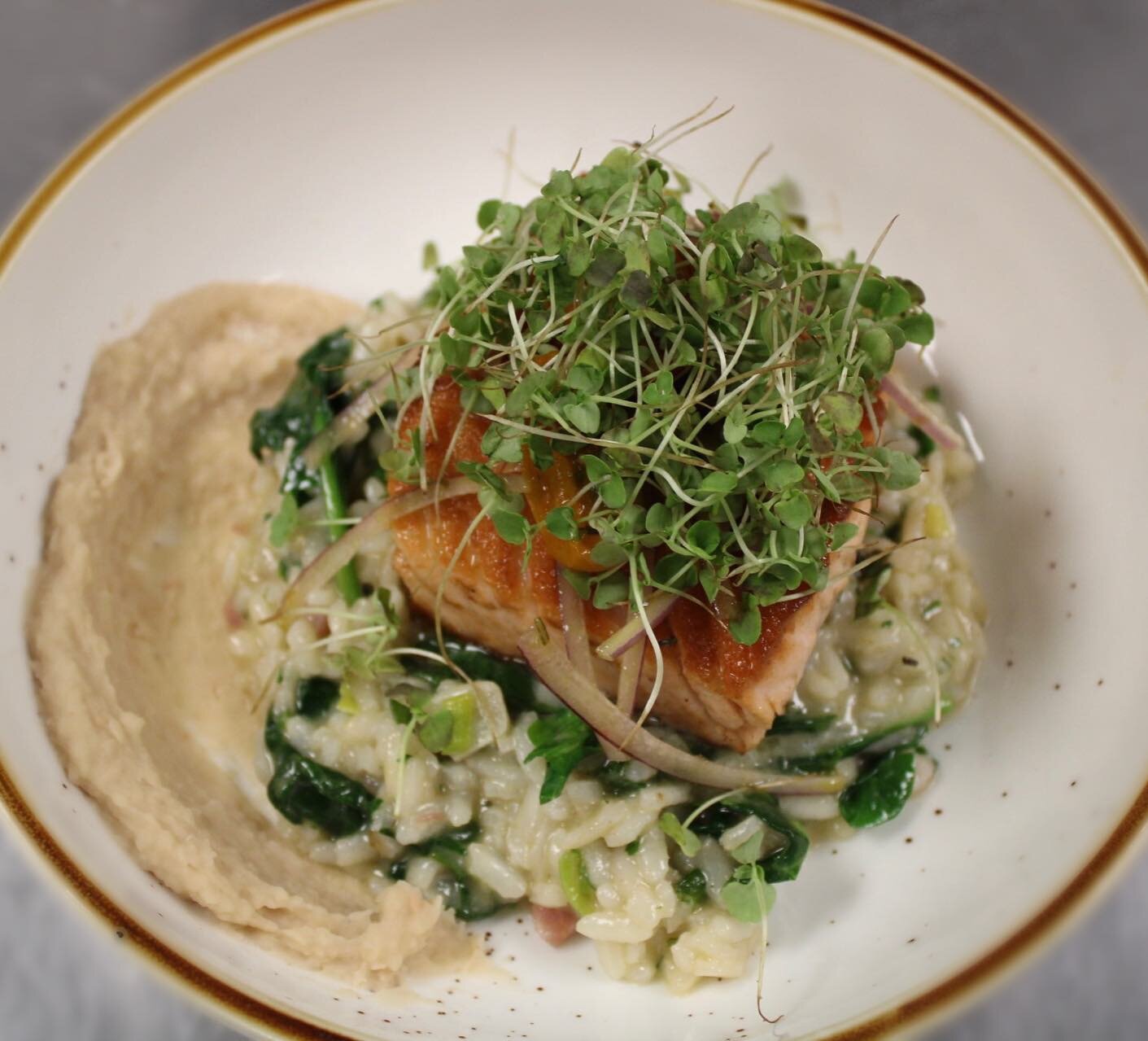 Come try our catch of the day! Pan seared salmon over Risotto with spinach, leeks, bacon, and topped with a micro basil salad.